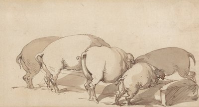 Pigs at a Trough by Thomas Rowlandson